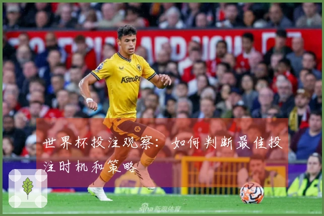 世界杯投注观察：如何判断最佳投注时机和策略