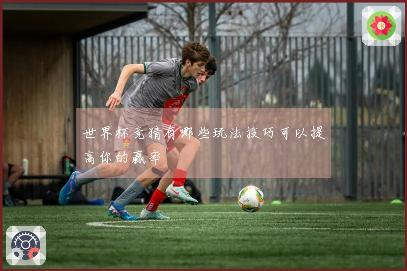 世界杯竞猜有哪些玩法技巧可以提高你的赢率