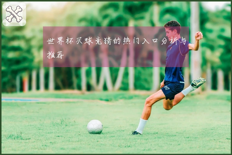 世界杯买球竞猜的热门入口分析与推荐