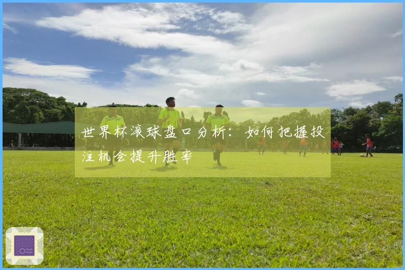 世界杯滚球盘口分析：如何把握投注机会提升胜率