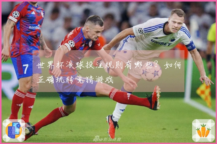 世界杯滚球投注规则有哪些？如何正确玩转竞猜游戏